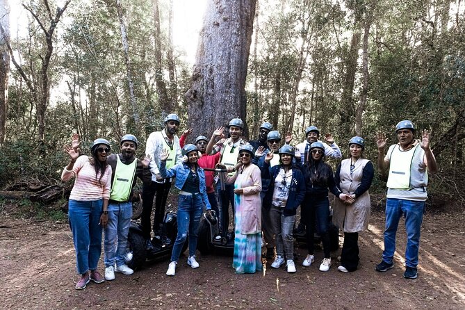 1 Hour Segway Experience - The two-hour route and the 1,000-year-old Big Tree