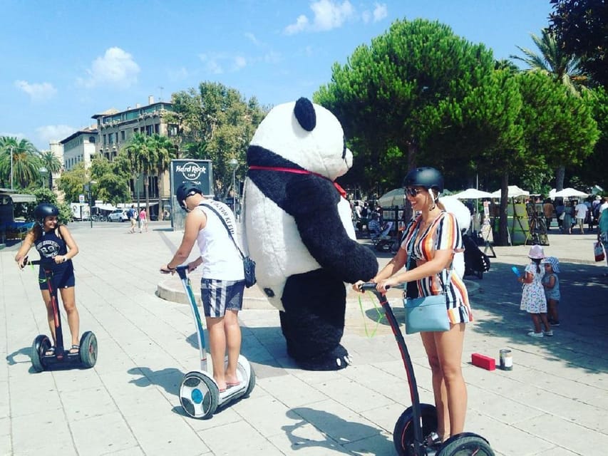1 Hour Segway tour in Palma de Mallorca - What to bring and what to leave behind