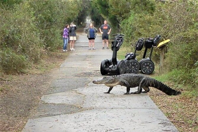 2-Hour Guided Segway Tour of Huntington Beach State Park in Myrtle Beach - What the $69 price really includes