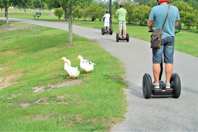 2-Hour Guided Segway Tour of Huntington Beach State Park in Myrtle Beach - Who should book this Myrtle Beach experience
