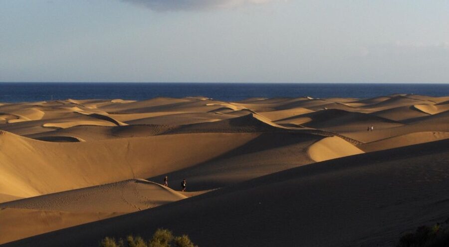 2-Hour Segway Tour: Maspalomas Dunes, Playa Ingles,S.Agustin - Physical requirements are not a footnote