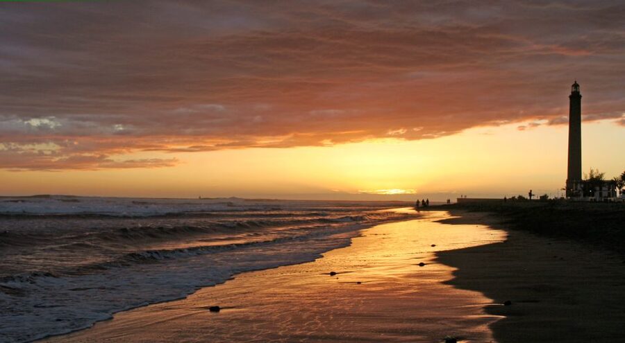 2-Hour Segway Tour: Maspalomas Dunes, Playa Ingles,S.Agustin - Starting at Bici Bike Vintage in the Cita Shopping Center