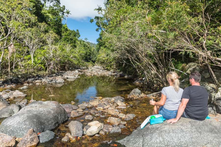 Airlie Beach: Segway Rainforest Discovery Tour - Why this rainforest ride feels different from a standard Airlie Beach outing