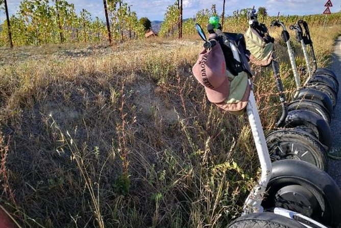 Albahills Segway Tour - From town streets to vineyard roads