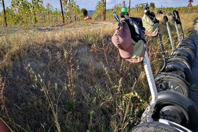 Albahills Segway Tour & Wine Tasting - Through the vineyard hills around Alba