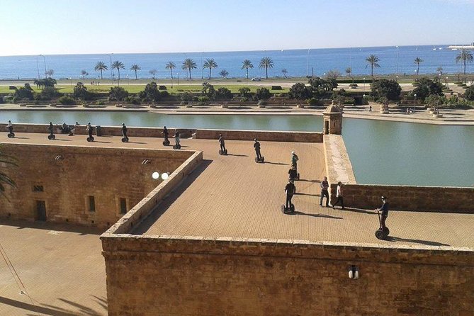 All City and Sea Segway Tour - Sa Llotja: a shorter stop with extra time afterward