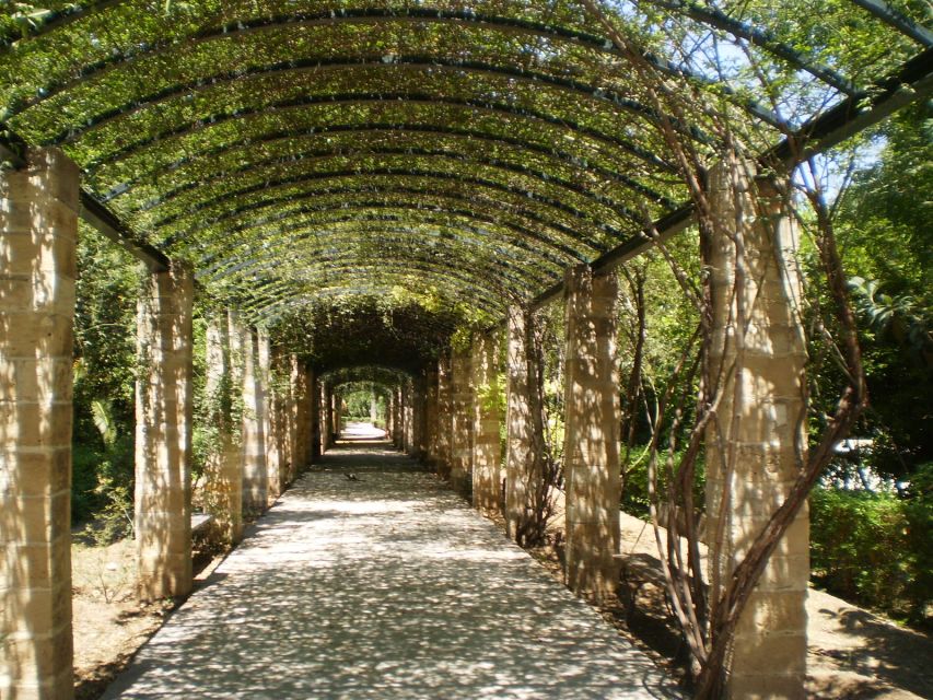 Athens: National Garden 2-Hour Segway Tour - Starting in Plaka and learning the Segway