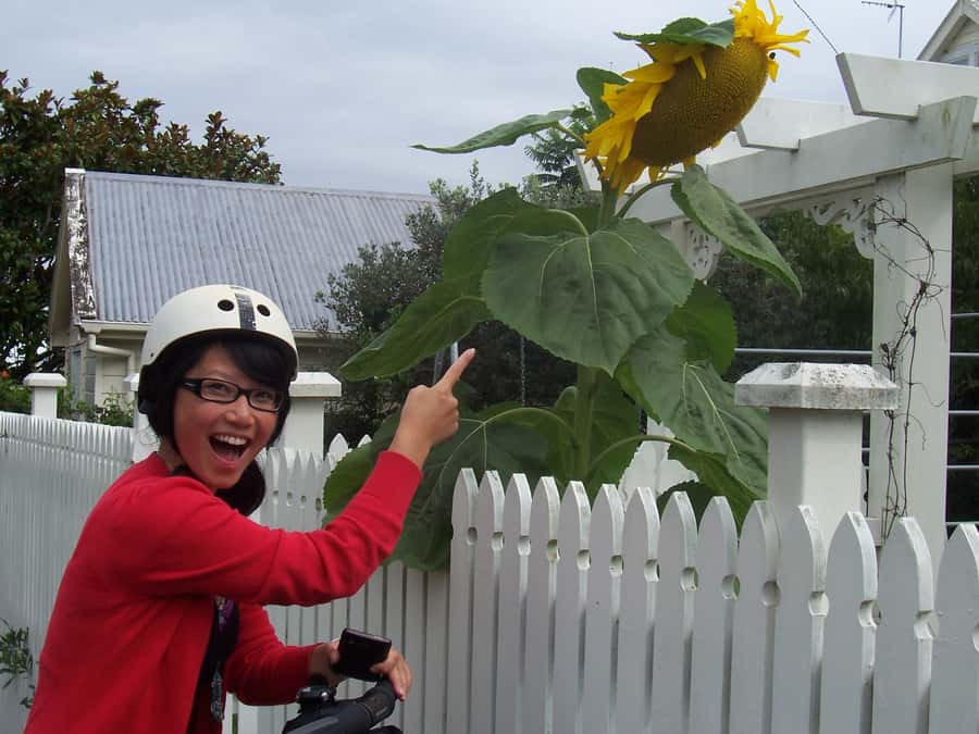 Auckland: Devonport Village Segway Tour - Starting at Devonport Ferry Terminal