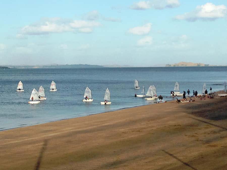 Auckland: Devonport Waterfront Segway - The final Segway 101 pass card