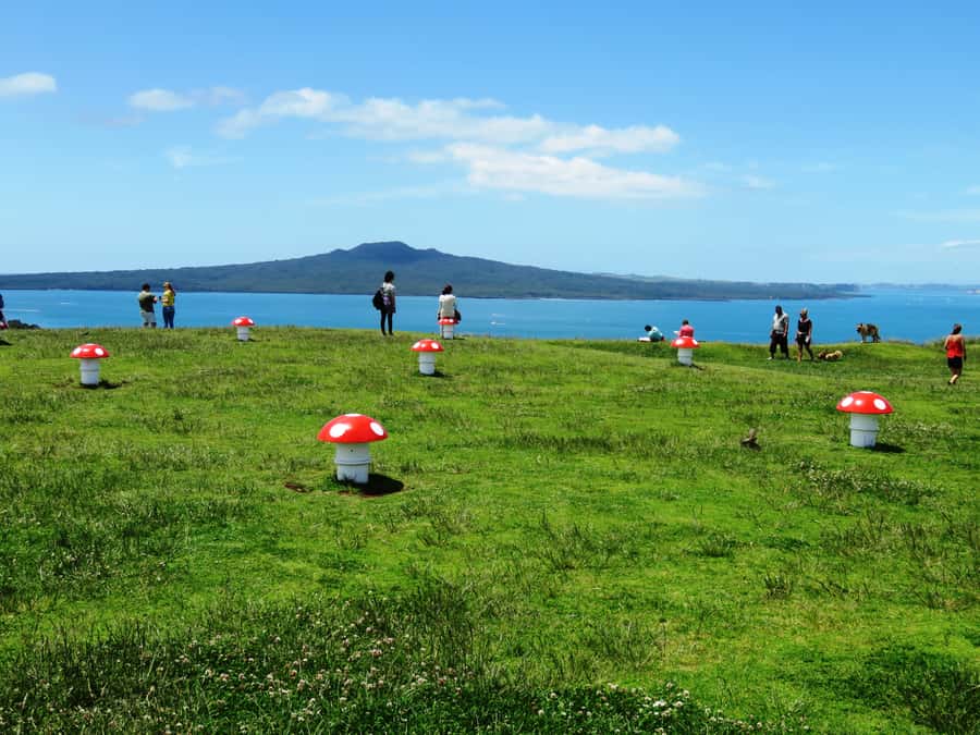 Auckland: Segway Tour to Mount Victoria - Freestyle time in a local park