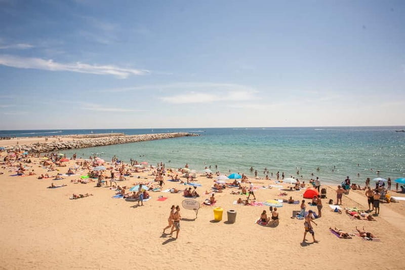 Barcelona: 2-Hour City Sights Guided Segway Tour - The sea wall, Barceloneta, and a taste of old Barcelona