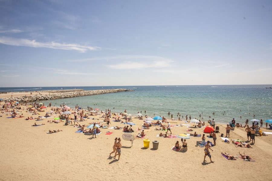 Barcelona: 2-Hour City Sights Guided Segway Tour - Olympic Port and Barcelona’s 1992 transformation