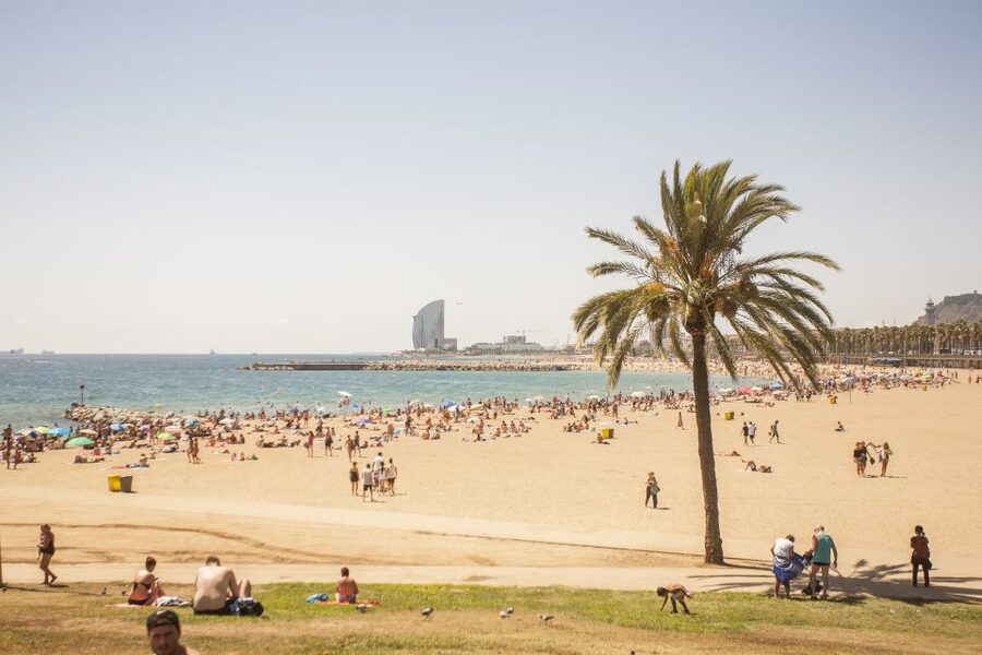 Barcelona: 3-Hour Segway Sightseeing Tour - Parc de la Ciutadella and the Arc de Triomf