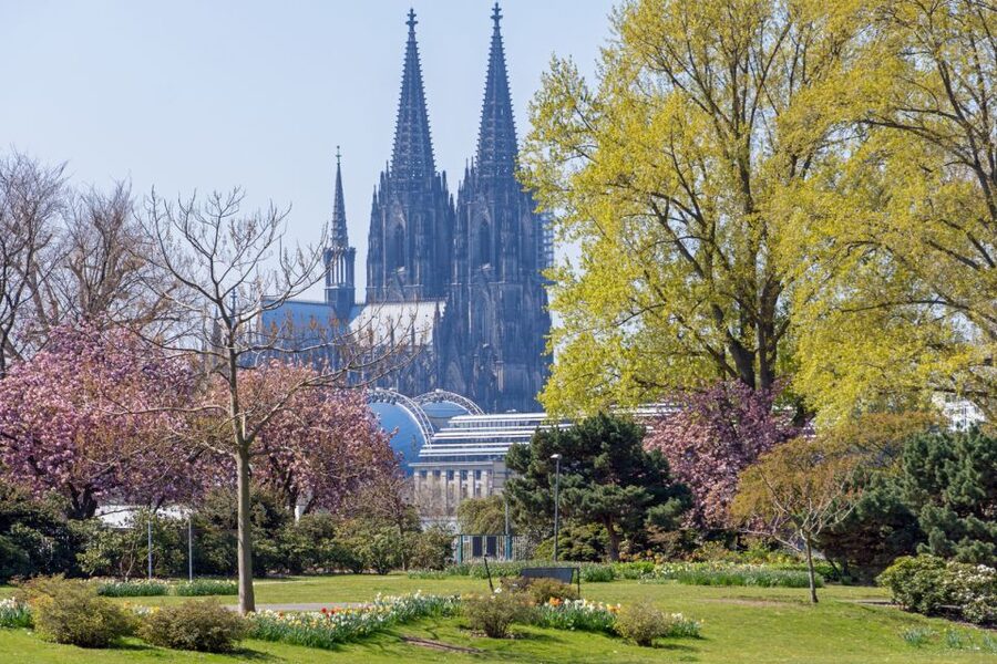 Cologne: City Highlights Segway Tour - Guide style and the audio option