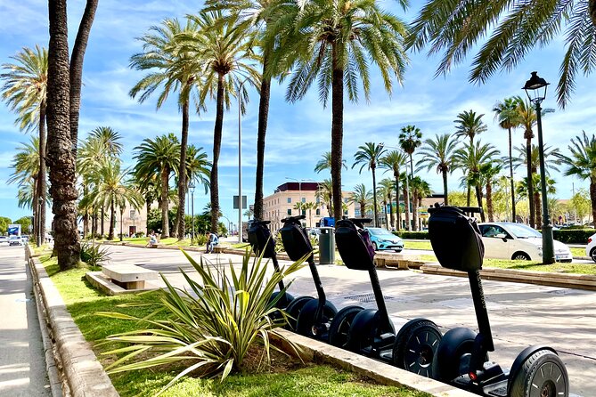Express 1 hour Segway Tour - Plaça de Cort and the Olivera de Cort
