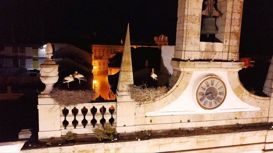 Faro: Night Segway Tour with Cocktails - Faro by Segway, with stories instead of a checklist