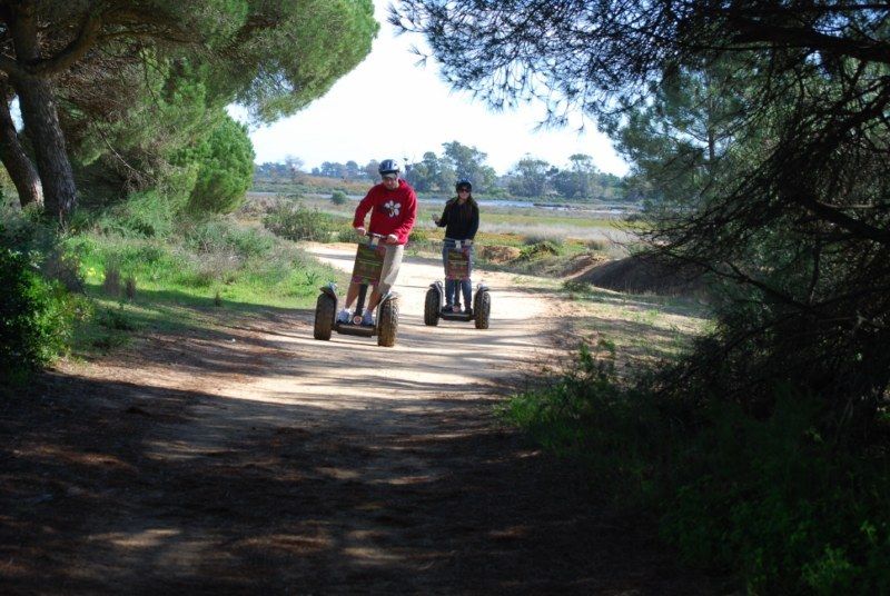 Faro: Ria Formosa Natural Park Segway Tour & Birdwatching - Why this is a smart way to see Ria Formosa