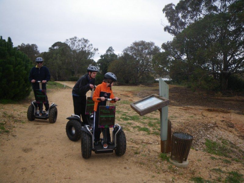 Faro: Ria Formosa Natural Park Segway Tour & Birdwatching - Birdwatching in a protected coastal reserve