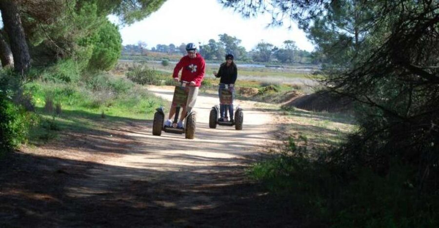 Faro: Ria Formosa Natural Park Segway Tour & Birdwatching - Is $66 good value for 90 minutes?