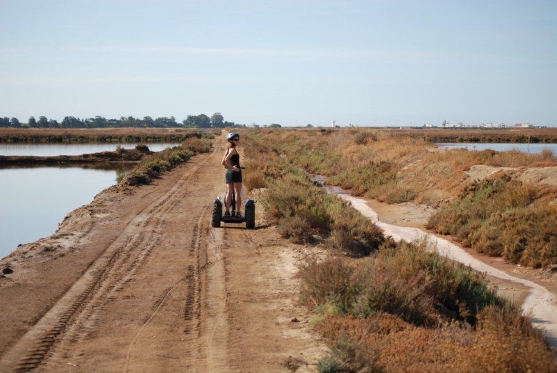 Faro: Ria Formosa Natural Park Segway Tour & Birdwatching - The guides make or break the experience