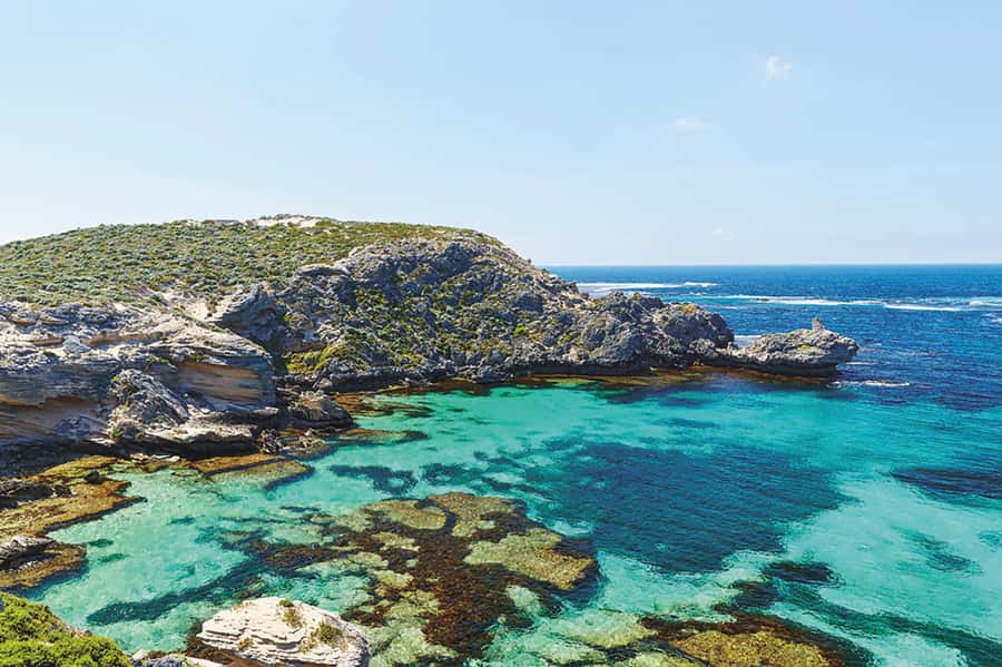 From Perth or Fremantle: Rottnest Explorer Segway Tour - Thomson Bay, the Rottnest Pub, and island stories