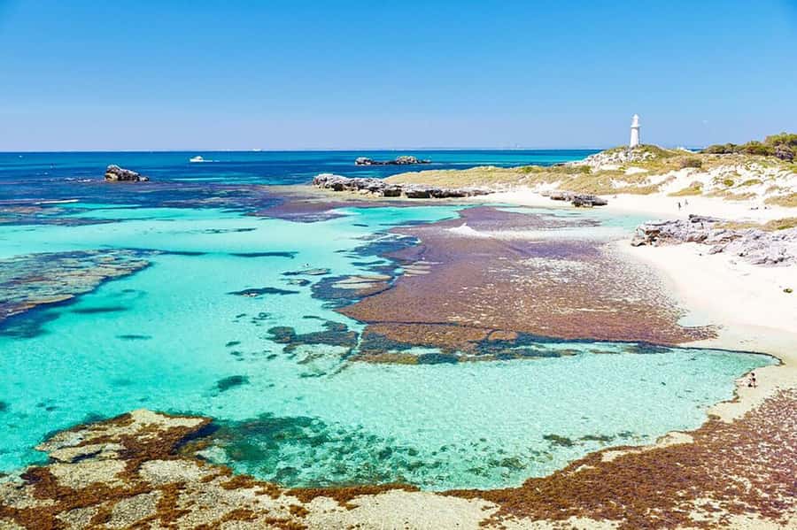 From Perth or Fremantle: Rottnest Explorer Segway Tour - Practical tips for a smoother day
