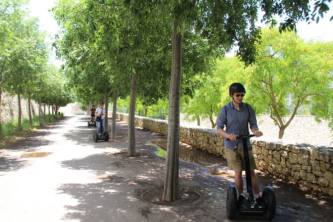 Fun Private Segway Tour in Valencia - Who should book this one-hour ride?