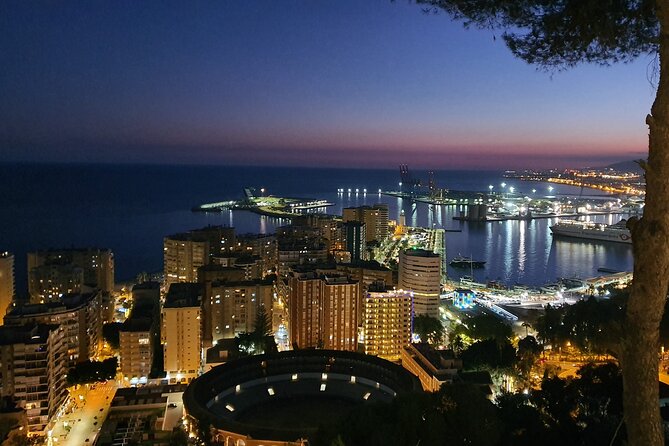 Gibralfaro Castle, Port & Bullring Segway Tour in Málaga - What the guides add to the ride