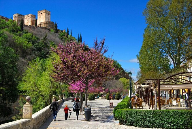 Granada Private Segway Tour - Key points at a glance