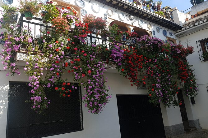 Granada Segway Tour to Albaicin and Sacromonte - Sacromonte’s caves and gypsy traditions