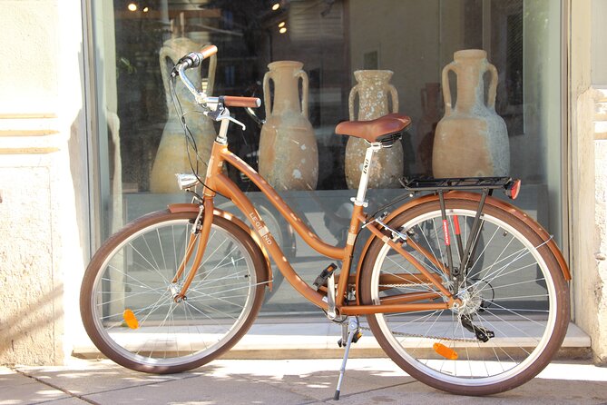 GRAND CITY Private Guided Tour on Bike, E-Bike, E-Step or Segway - Cathedral stories at Plaça de la Reina