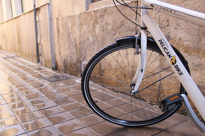 GRAND CITY Private Guided Tour on Bike, E-Bike, E-Step or Segway - Torres dels Serrans and the old fortifications
