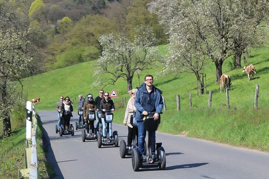 Heidelberg Highlights Segway Tour with Castle - Starting at Neckarmünzplatz and the Old Bridge