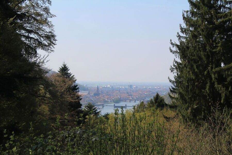 Heidelberg Highlights Segway Tour with Castle - Climbing to Ziegelhausen and Wolfsbrunnen