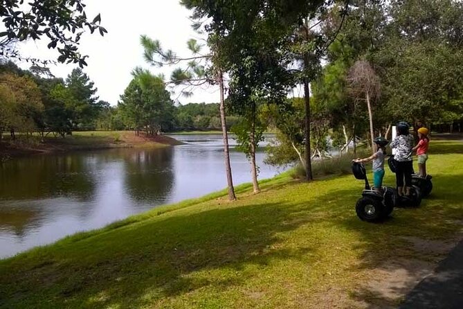 Hilton Head Segway Ultimate Discovery Tour (2 hours) - The lagoon and the alligator watch