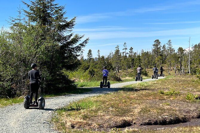 Juneau Alpine Segway Wilderness Trail Adventure - The best reasons to choose this over another Juneau tour