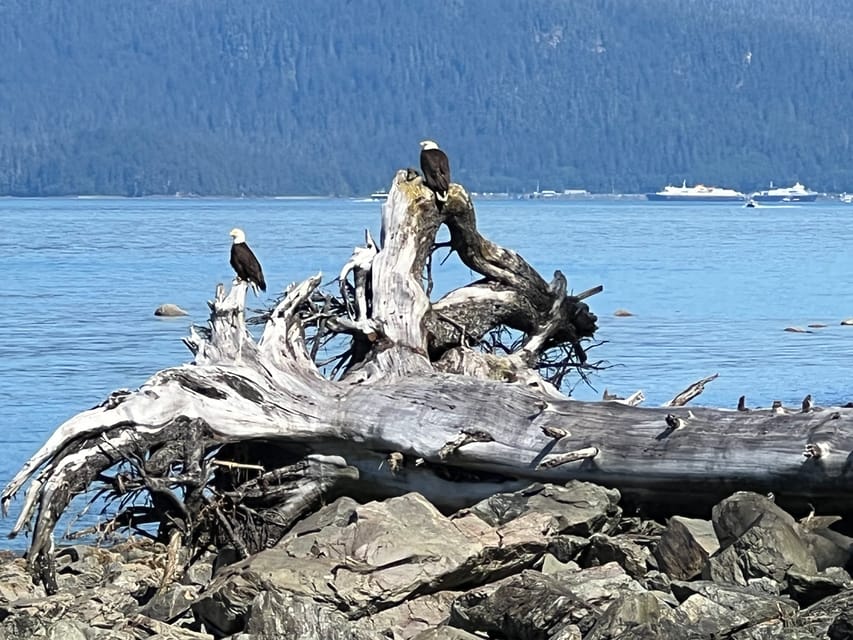 Juneau: Rainforest Photo Safari on a Segway - Riding into Tongass National Forest