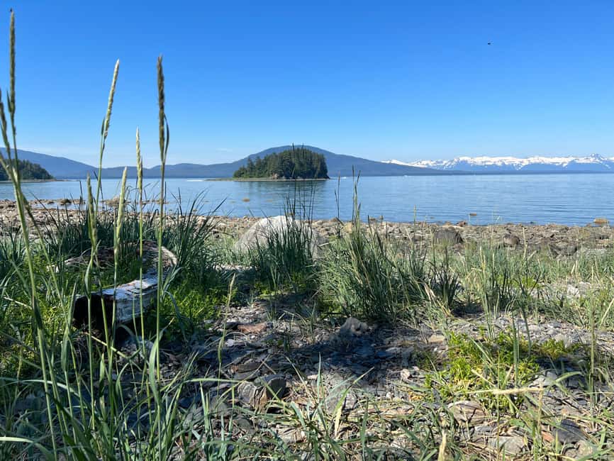 Juneau: Rainforest Photo Safari on a Segway - Is $164 a fair price?