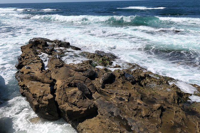 La Jolla Segway Tour - Sunny Jim Cave and the 150-step decision