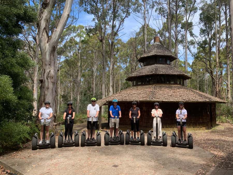 Launceston: Hollybank Forest Guided Segway Tour with Photos - From Launceston to Hollybank Forest
