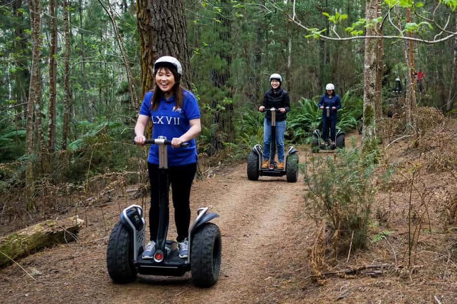 Launceston: Hollybank Forest Guided Segway Tour with Photos - Learning to control the Segway