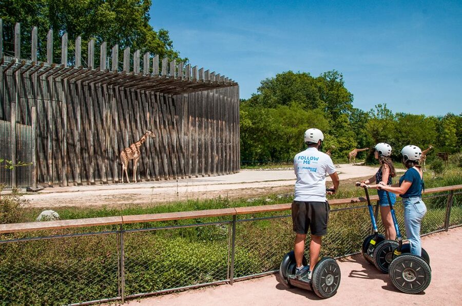 Lyon: City Segway Tour with a Local Guide - Following the Rhône for open city views