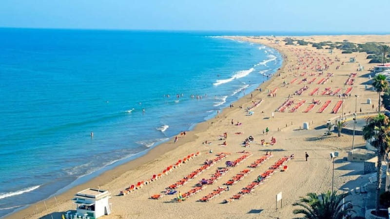 Maspalomas: 1 Hour Segway Sightseeing Tour - Who should book, and who should skip it?
