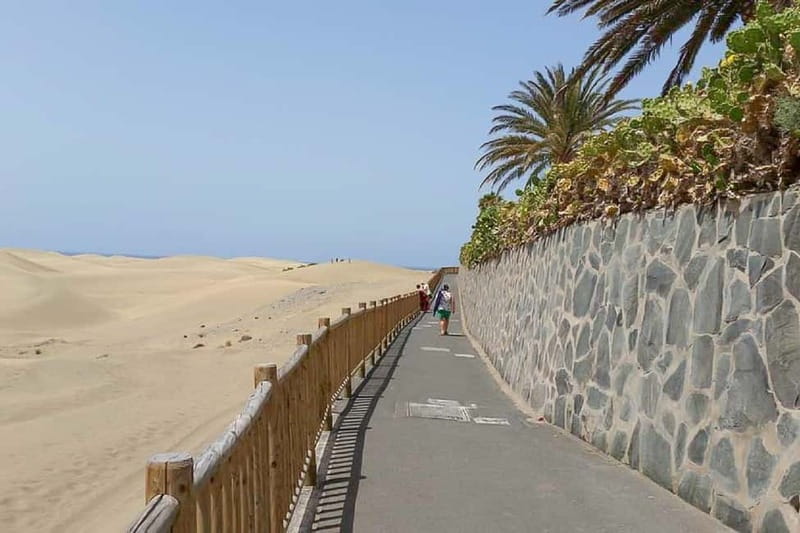 Maspalomas: 1 Hour Segway Sightseeing Tour - Stories about local life, plants, and wildlife