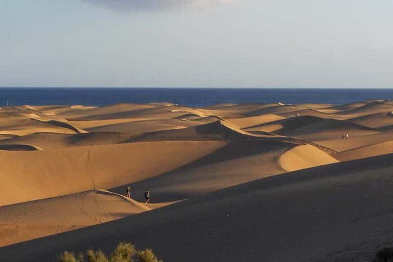 Maspalomas: 1 Hour Segway Sightseeing Tour - Meeting Lorenzo at Cita Shopping Center