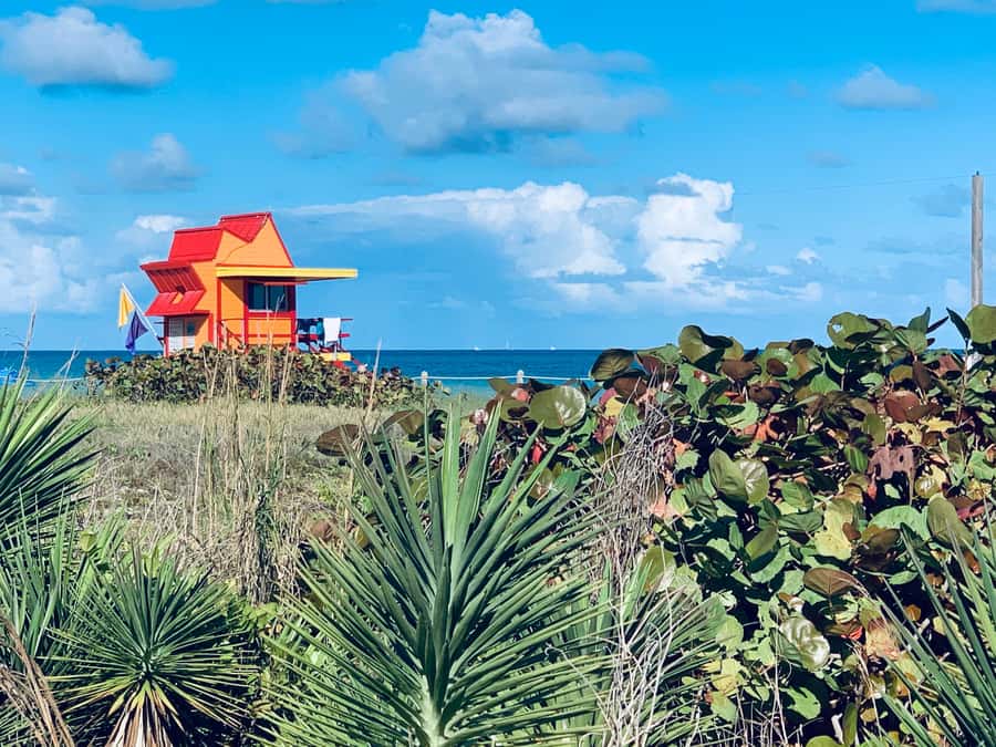 Miami Beach: 1-Hour Segway Glide - Gliding Through the Art Deco District
