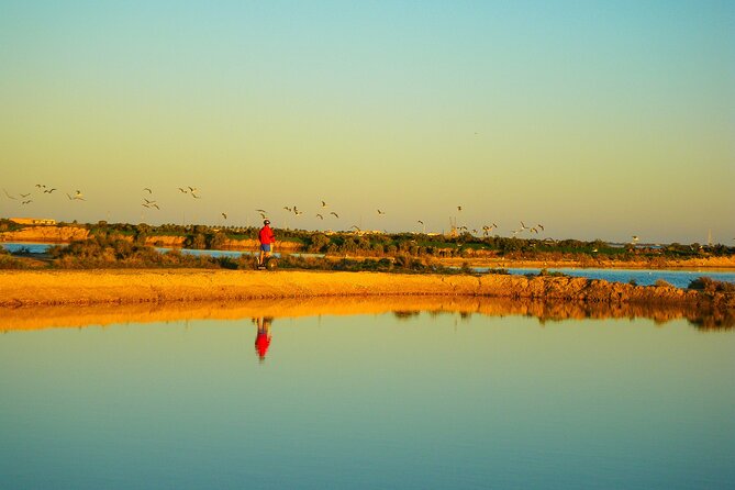 Natural Park Segway Tour with Seafood Lunch in Faro Island - Salt beds and the Recta do Sal