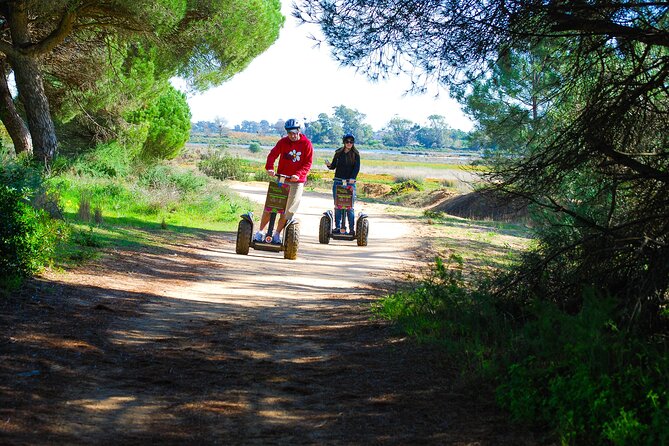 Natural Park Segway Tour with Seafood Lunch in Faro Island - Who will enjoy this Faro outing