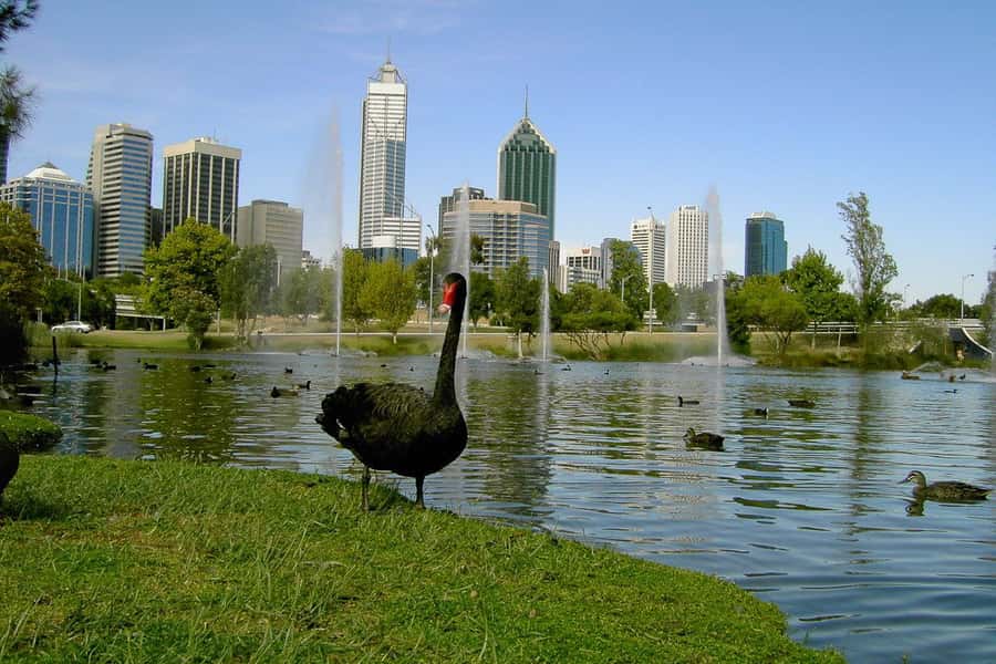 Perth Riverside Segway Tour - Cruising past the Bell Tower and along the Swan River