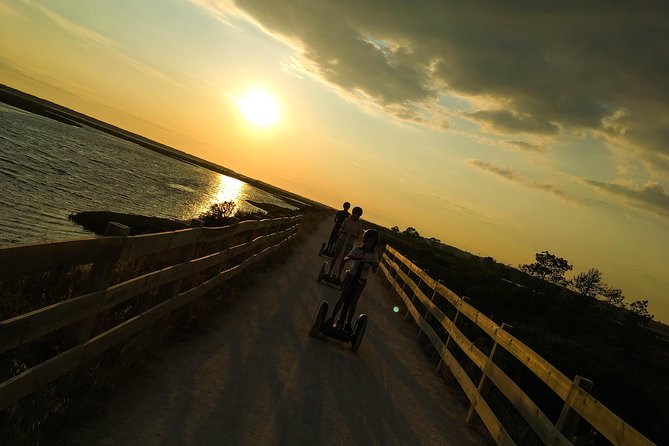Ria Formosa Natural Park Birdwatching Segway Tour from Faro - The surprising turn toward Quinta do Lago